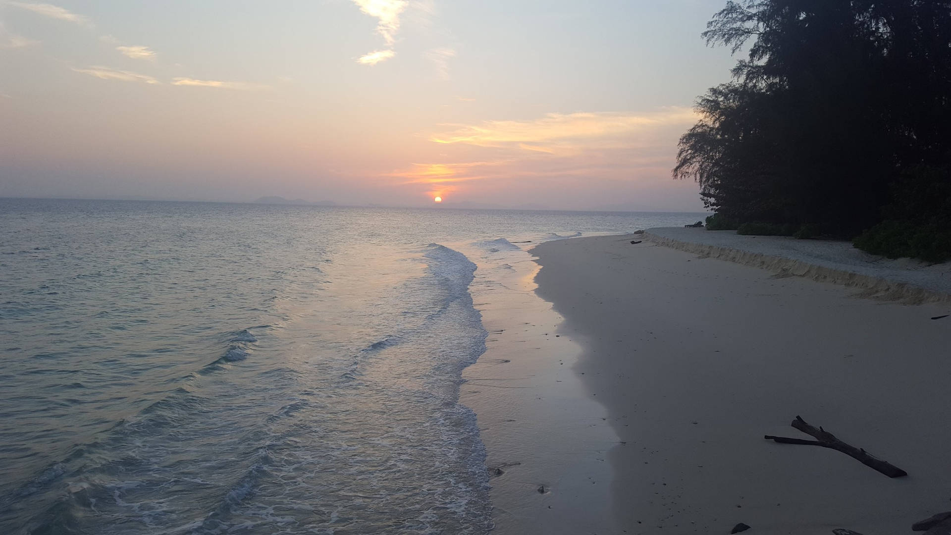 平靜海洋上的夕陽，沙灘上的海浪和樹木的剪影
