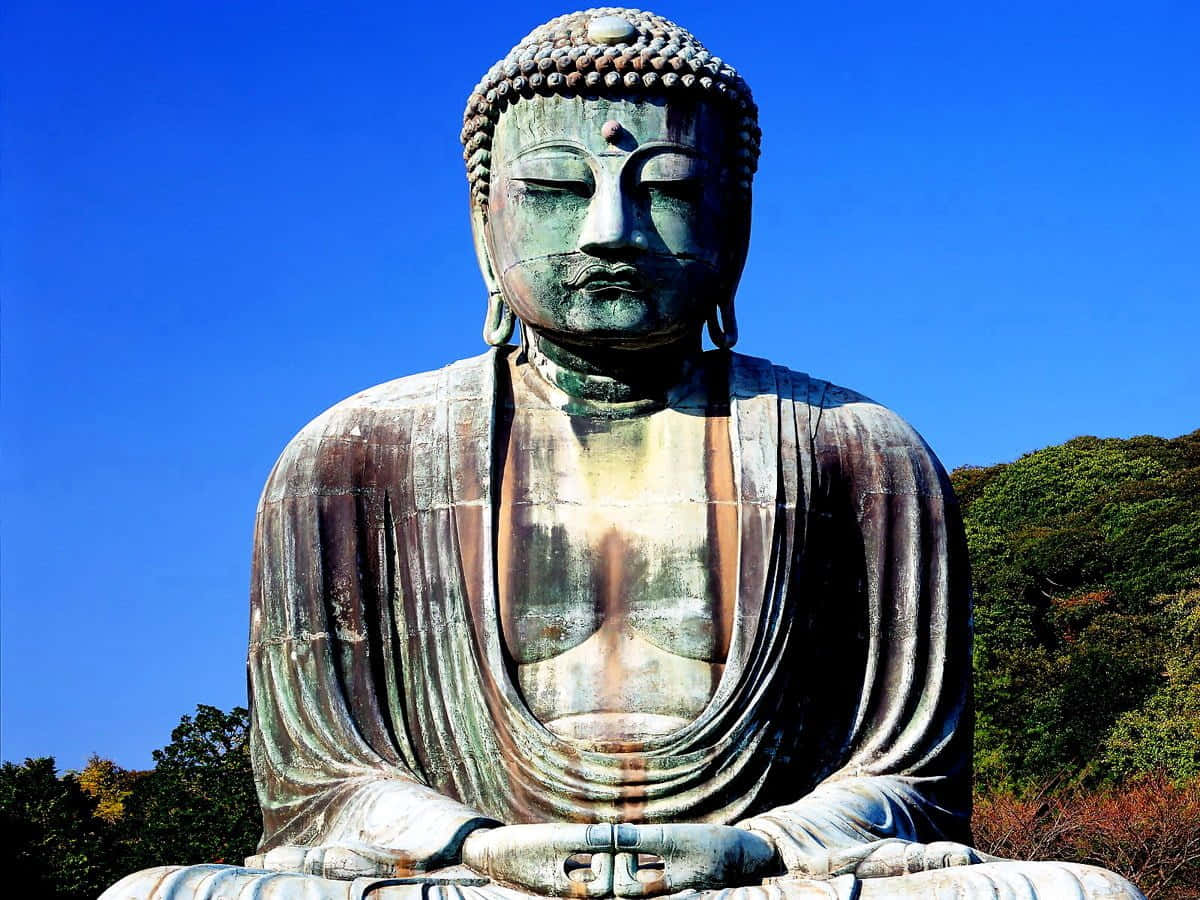 佛陀的覺悟之道 壁紙 — 一尊巨大的風化青銅佛像，在鮮豔的藍天和綠樹背景下靜靜地坐著。