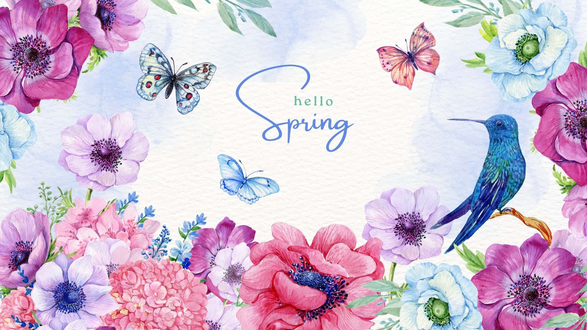 春天花朵 蝴蝶 蜂鳥 附 hello spring 文字