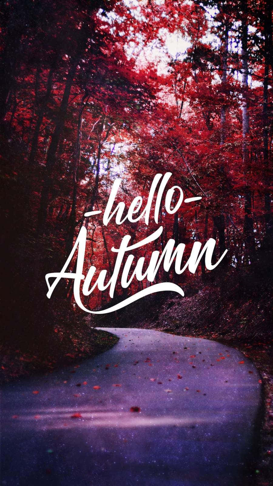 蜿蜒的森林小徑，有紅葉和 'hello autumn' 文字。