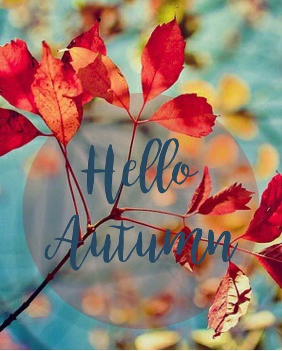 紅色秋葉，帶有「Hello Autumn」文字，背景為藍色模糊。