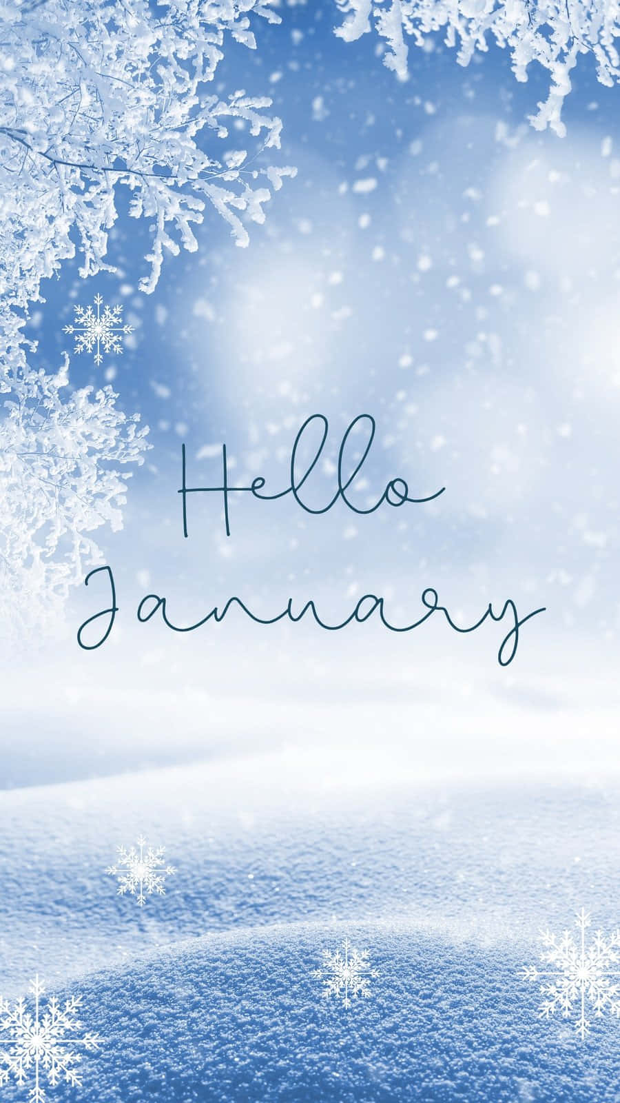 結霜的冬季場景，帶有雪花和 Hello January 文字。