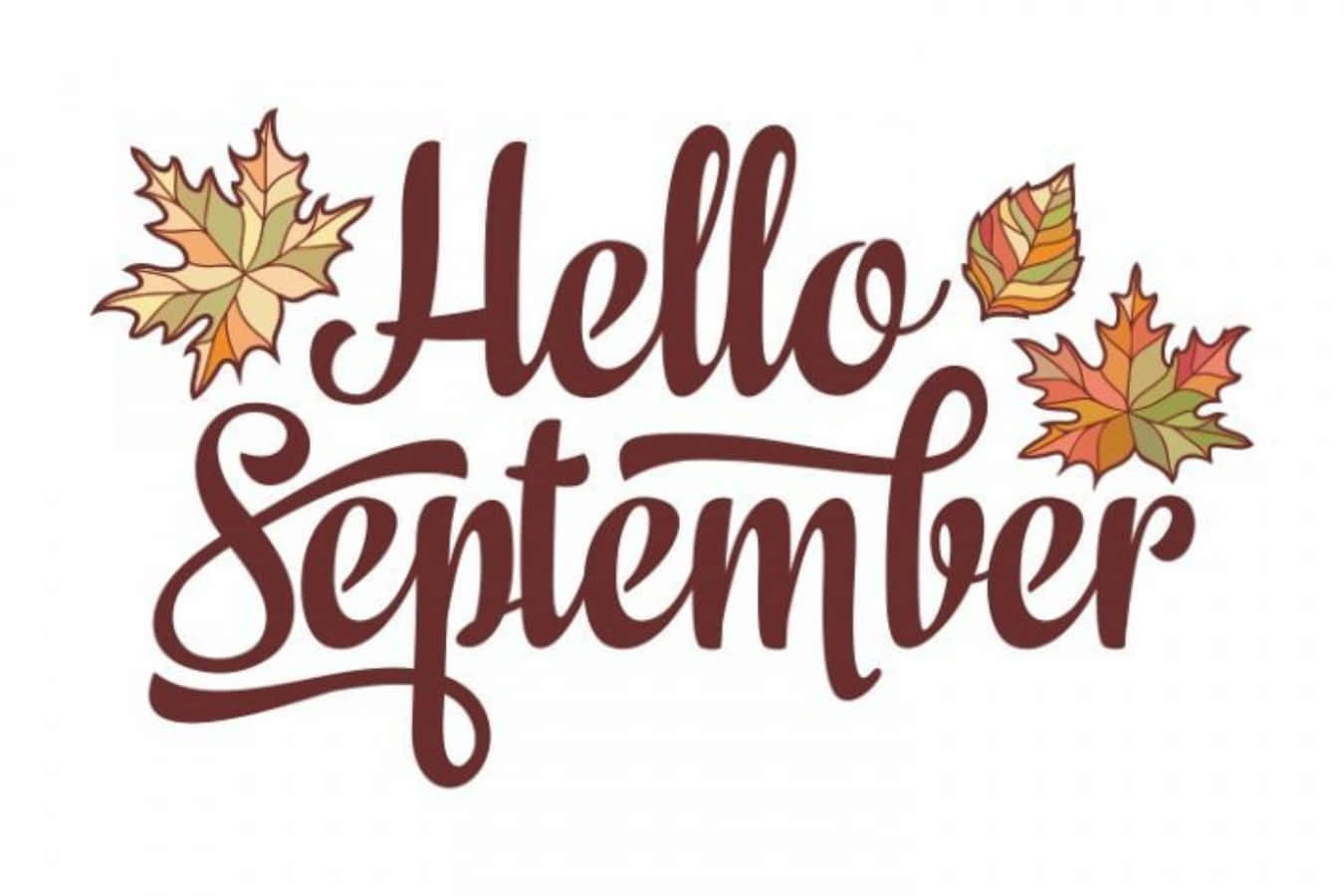 你好九月藝術文字問候 壁紙 — 優雅嘅草書文字寫住Hello September，周圍係色彩繽紛嘅秋天楓葉，背景係乾淨嘅白色。