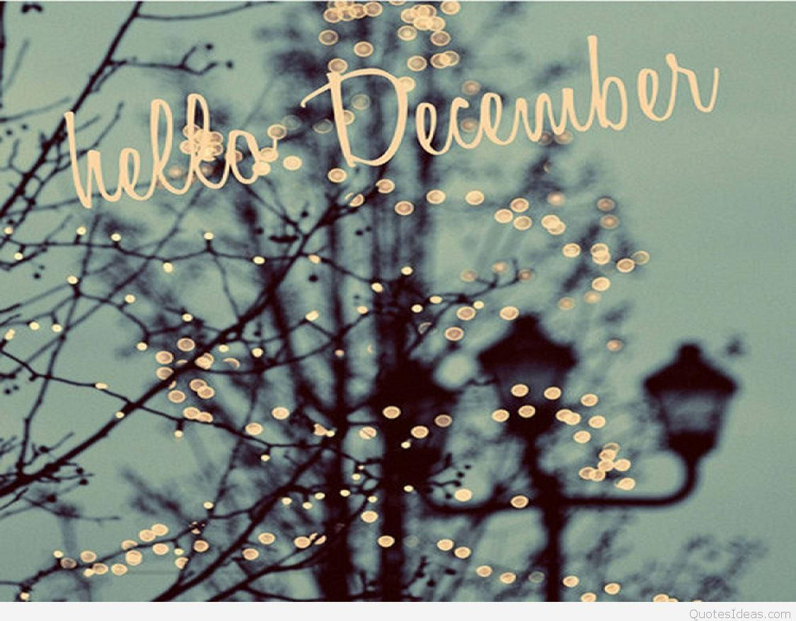 光禿的樹枝和路燈在節日燈光下閃耀，背景是藍綠色天空，並有「hello December」文字。