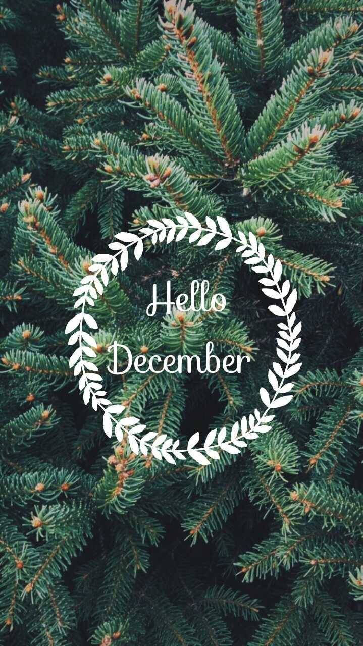 白色月桂花環，帶有 Hello December 文字，松樹背景