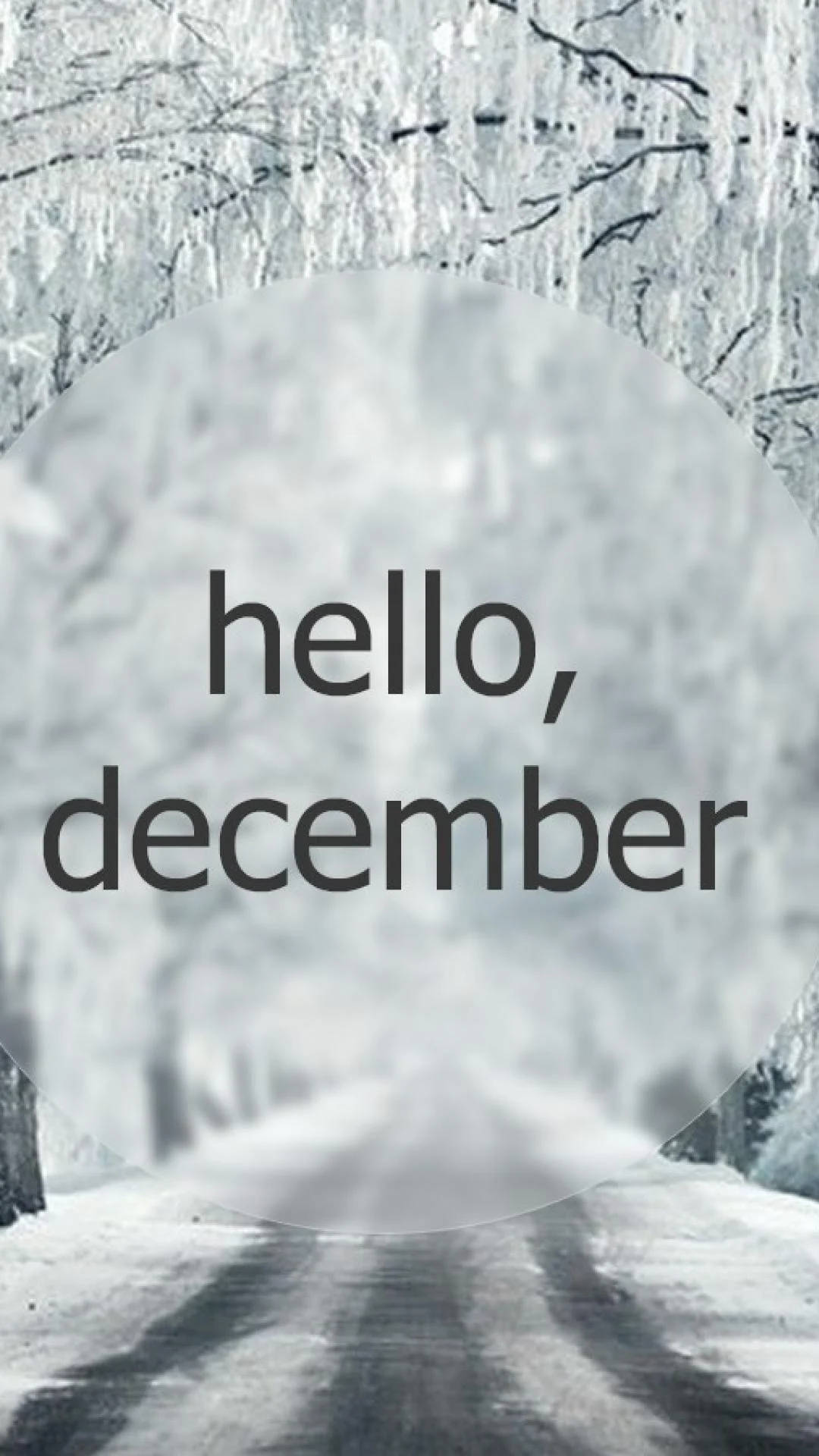 雪森林道路，有冰枝和 hello december 文字覆蓋。
