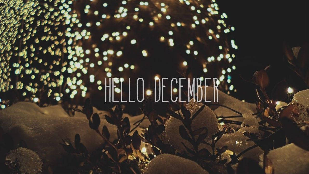 被雪覆蓋的樹枝，帶有發光的燈串和 'hello december' 文字。
