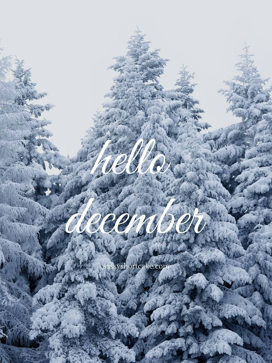積雪的松樹帶有hello december文字疊加