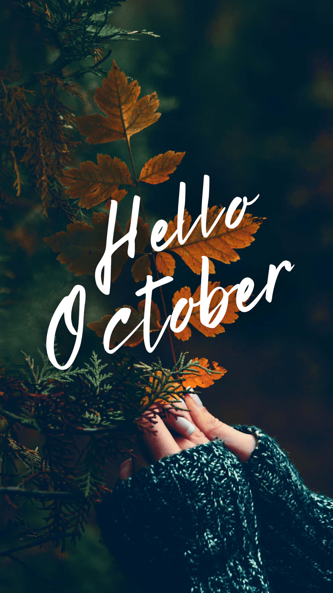 手拿著秋葉，森林背景中帶有「Hello October」文字