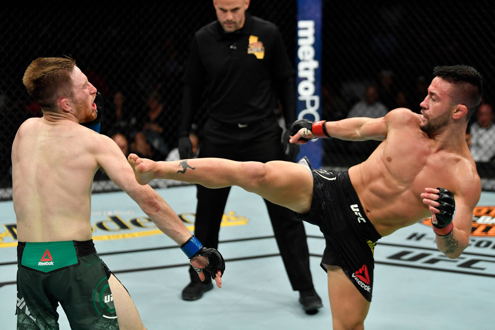 兩名戴著MMA手套的男性拳手在八角籠內交換高踢和格擋。