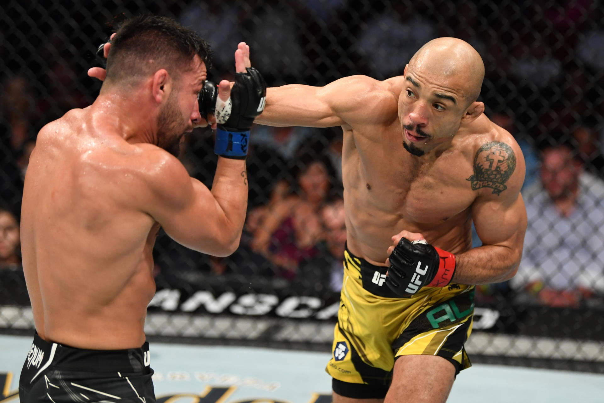 兩名男性MMA拳手在比賽期間於八角籠內互換拳擊。