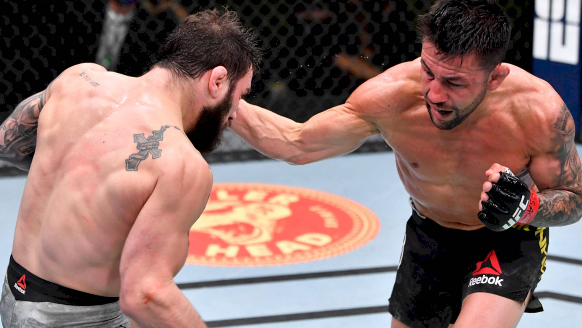 兩名男性拳手在MMA鐵籠內激烈比賽中互相出拳。