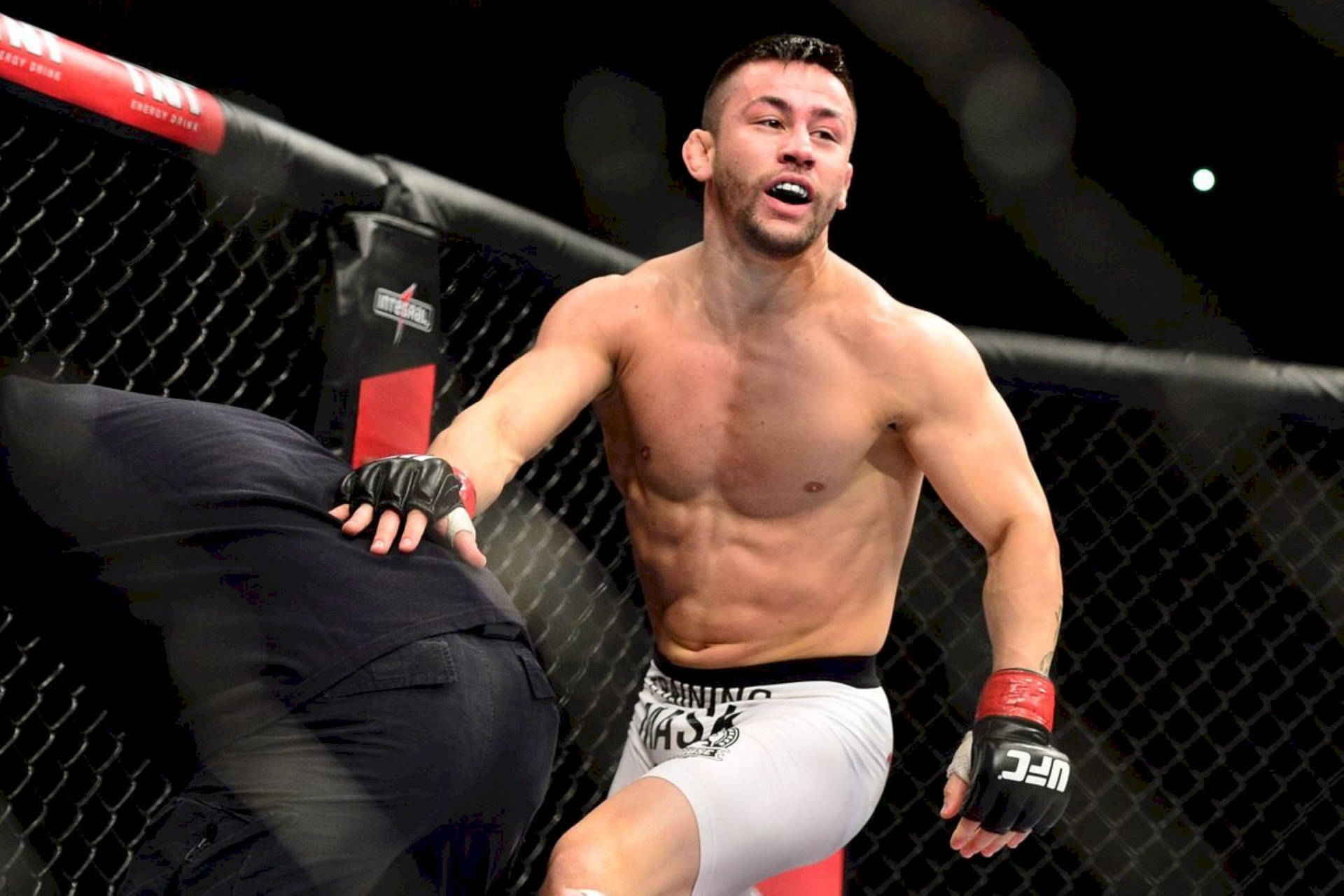 MMA拳手在比賽中於八角籠內執行高踢。