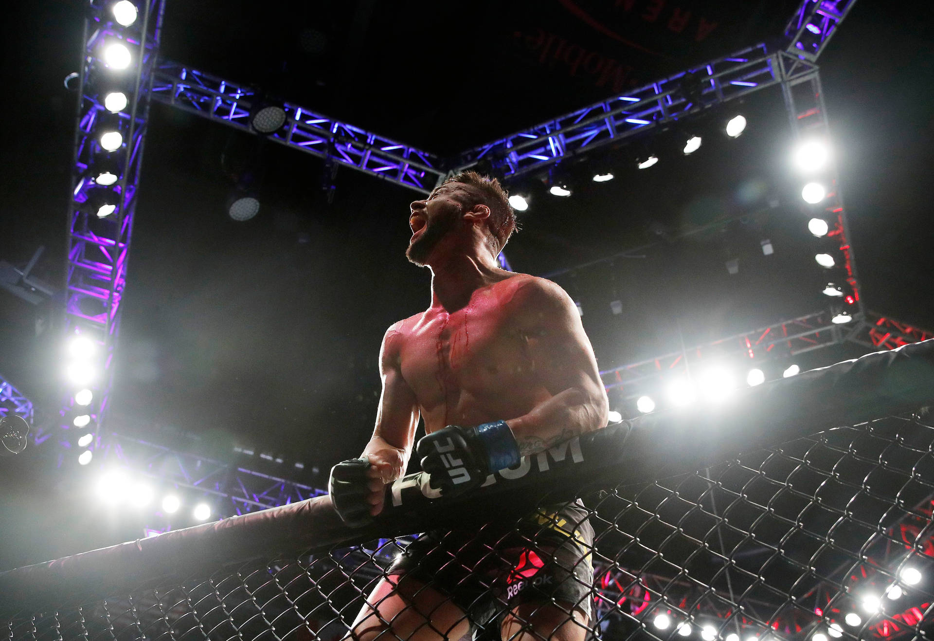 一名血跡斑斑的MMA選手在明亮的燈光下於八角籠內慶祝勝利。