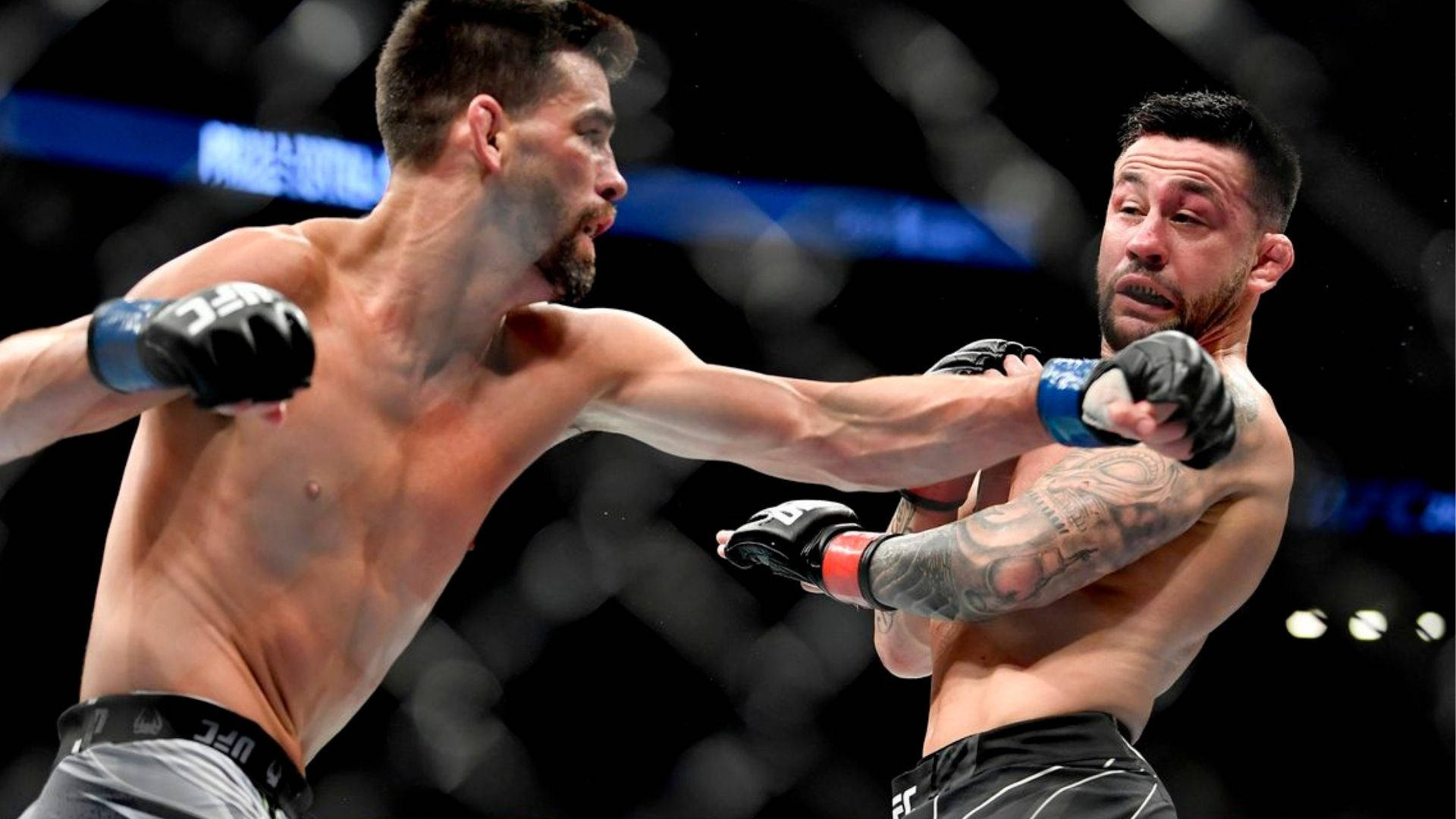 兩名男性MMA拳手在八角鐵籠內互相出拳。