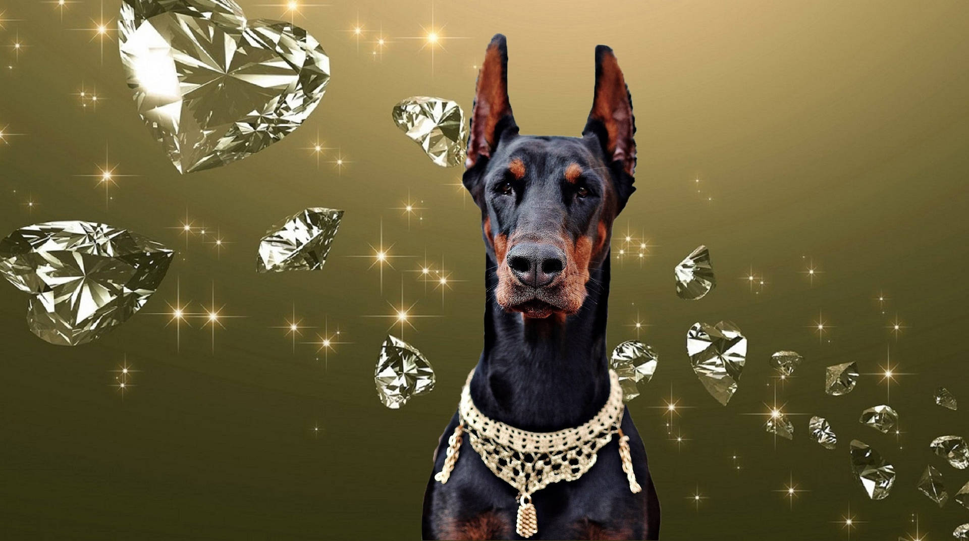 杜賓犬戴著金鏈項圈，被浮動的鑽石和閃光包圍。