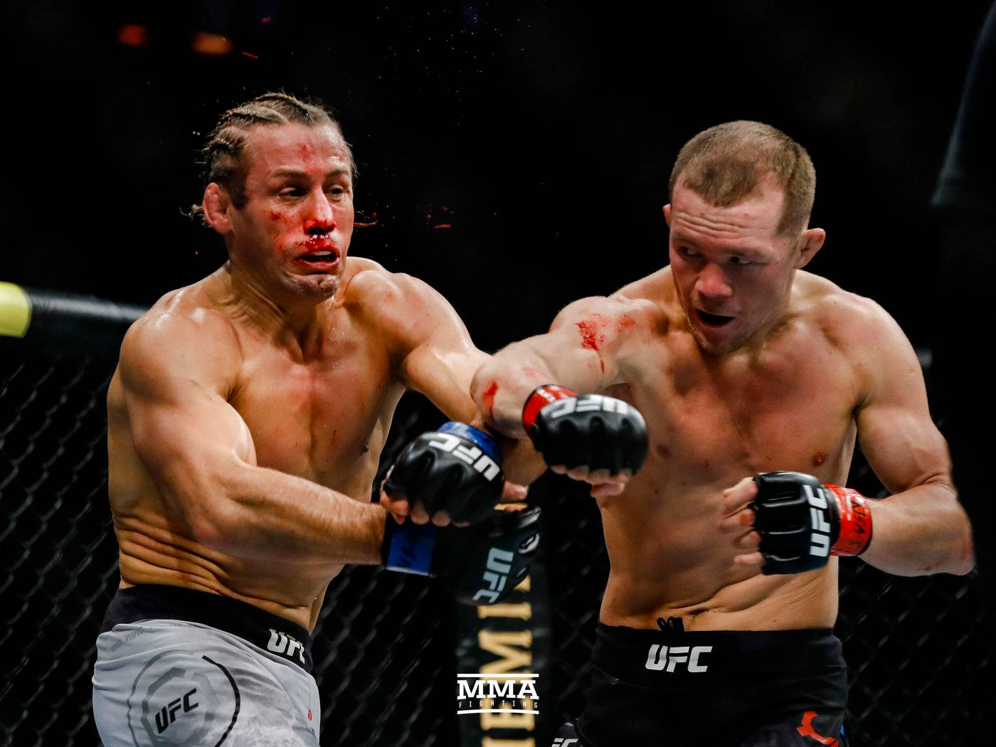 兩名男性MMA拳手在八角籠內互相出拳，可見血跡。