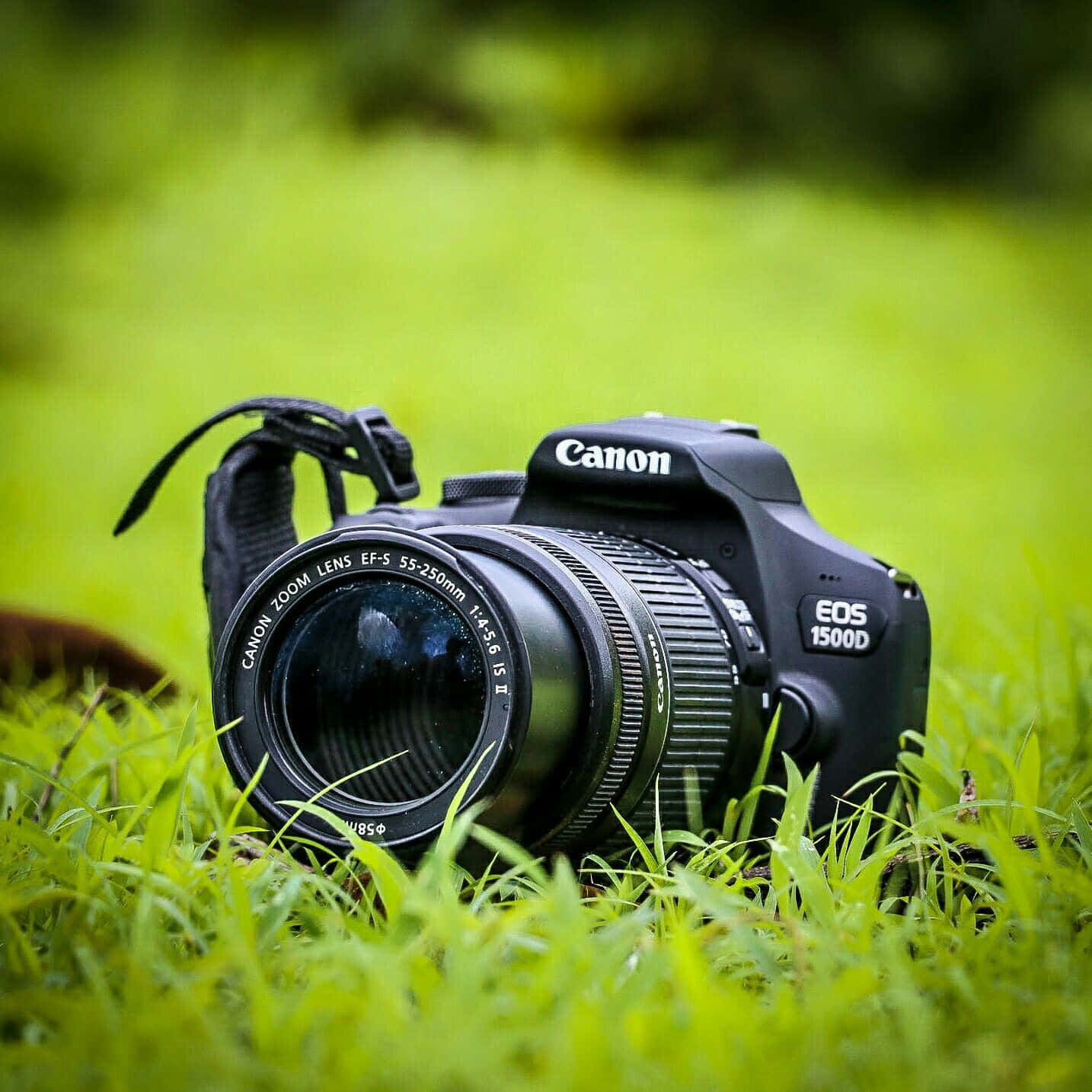 黑色Canon DSLR相機在綠色草地上，淺景深。
