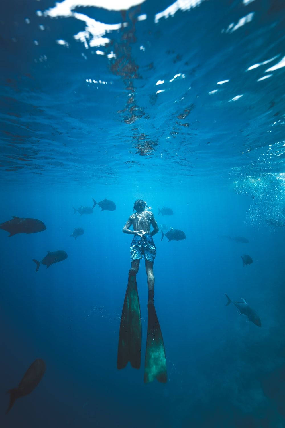 浮潛者在清澈的藍色海水中探索珊瑚礁，魚群在周圍游動。