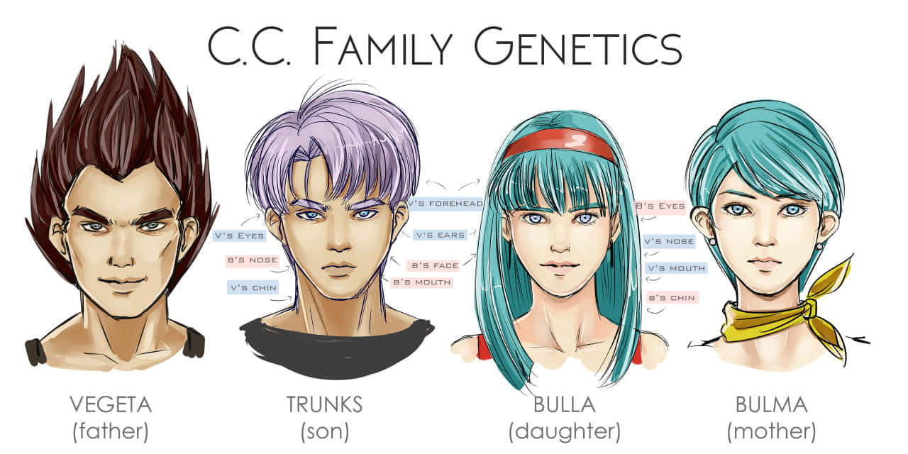 Vegeta's Family 桌布 壁紙 — 來自C.C. Family Genetics圖表的四個帶有標記遺傳特徵的動漫角色。