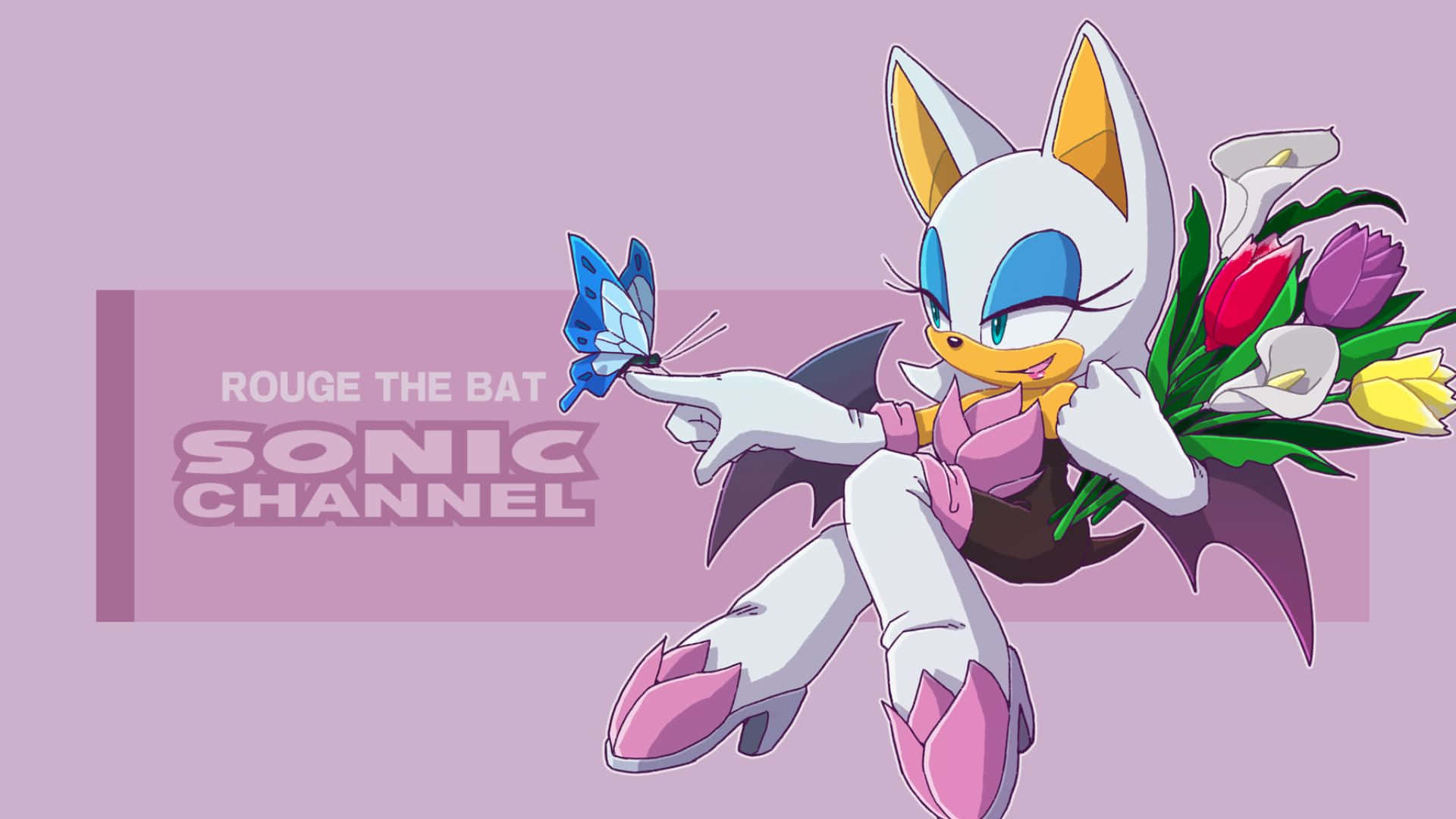 Rouge The Bat 桌布 壁紙 — 來自Sonic Channel的Rouge the Bat手持色彩繽紛的花束，在柔和的紫色背景上輕輕觸碰一隻藍色蝴蝶。