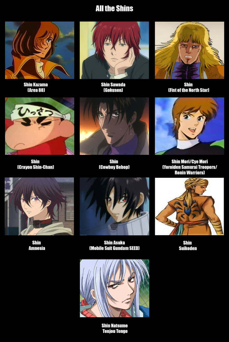 Cowboy Bebop Shin 桌布 壁紙 — 來自不同系列、名為Shin的動漫角色網格，每個角色都有獨特的髮色和表情，背景色彩繽紛。
