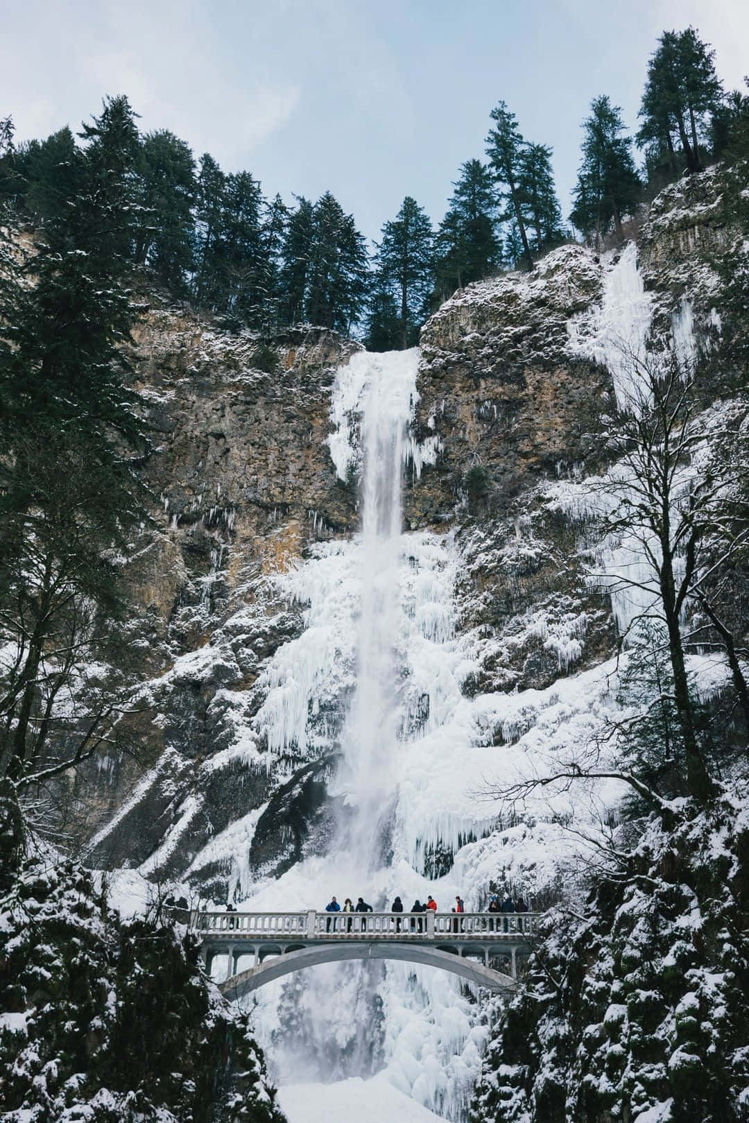 橋上的人們在雪林中欣賞冰凍瀑布。