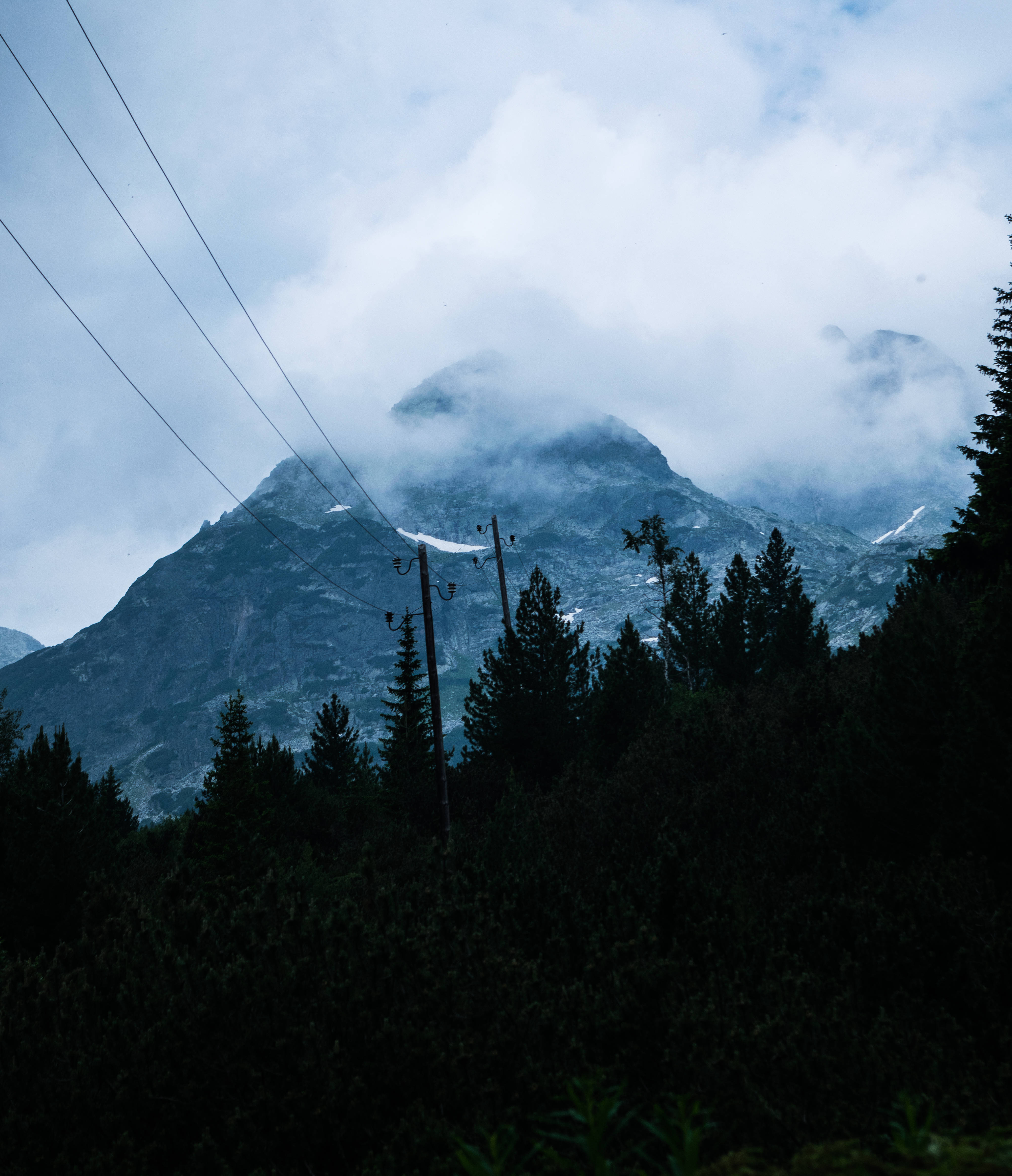 保加利亞霧山 壁紙 — 霧氣籠罩的山峰聳立於黑暗的松樹林之上，電線劃破多雲的天空。