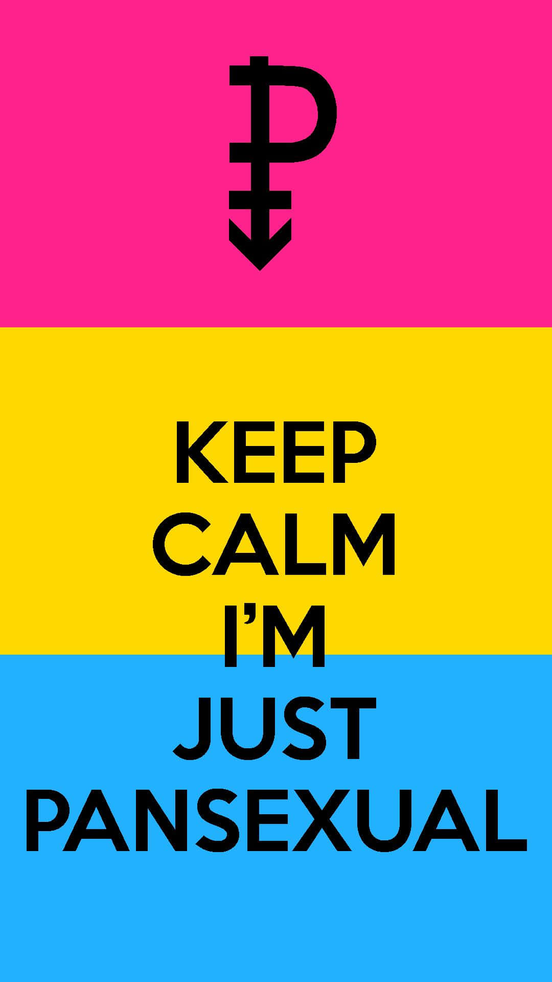 泛性戀驕傲旗幟，上面有粗體黑色文字「Keep Calm I'm Just Pansexual」。