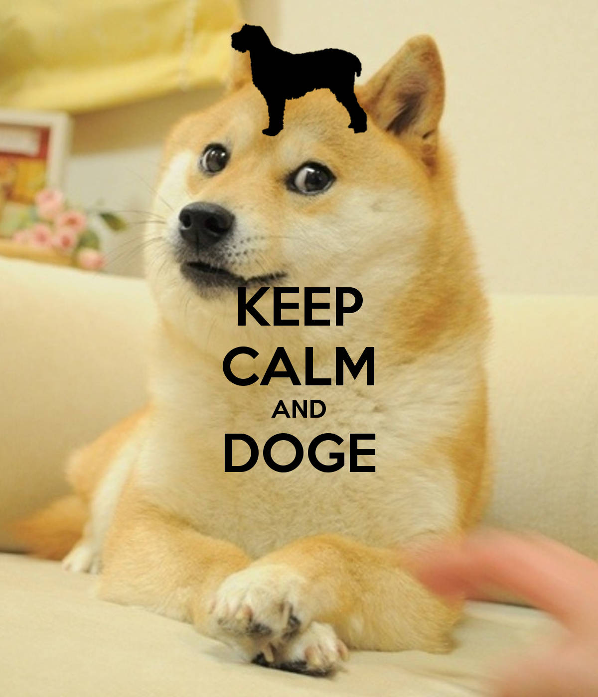 柴犬帶有 'KEEP CALM AND DOGE' 文字和頭頂的狗剪影。