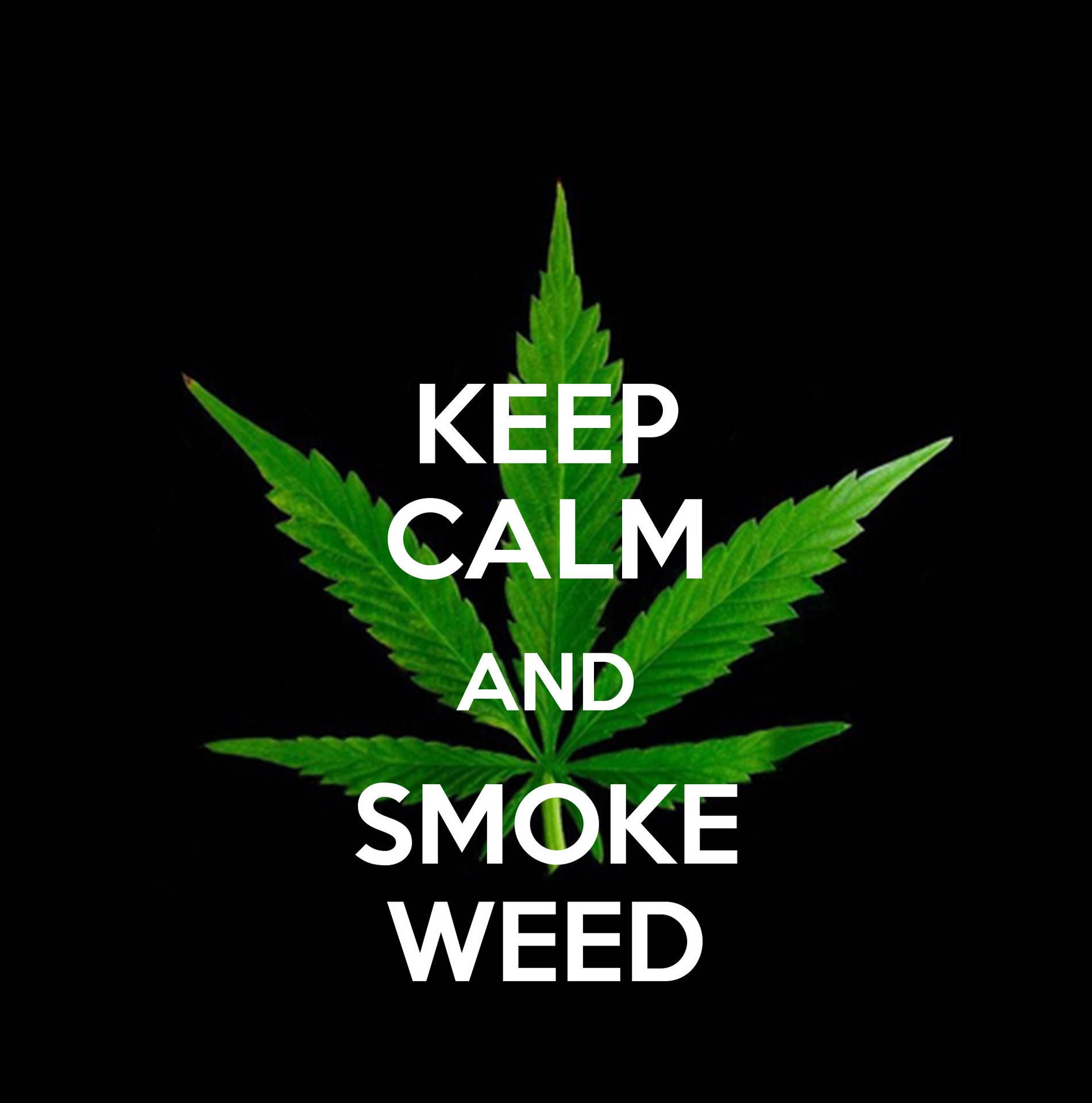 綠色大麻葉，上面有白色文字 keep calm and smoke weed，背景為黑色