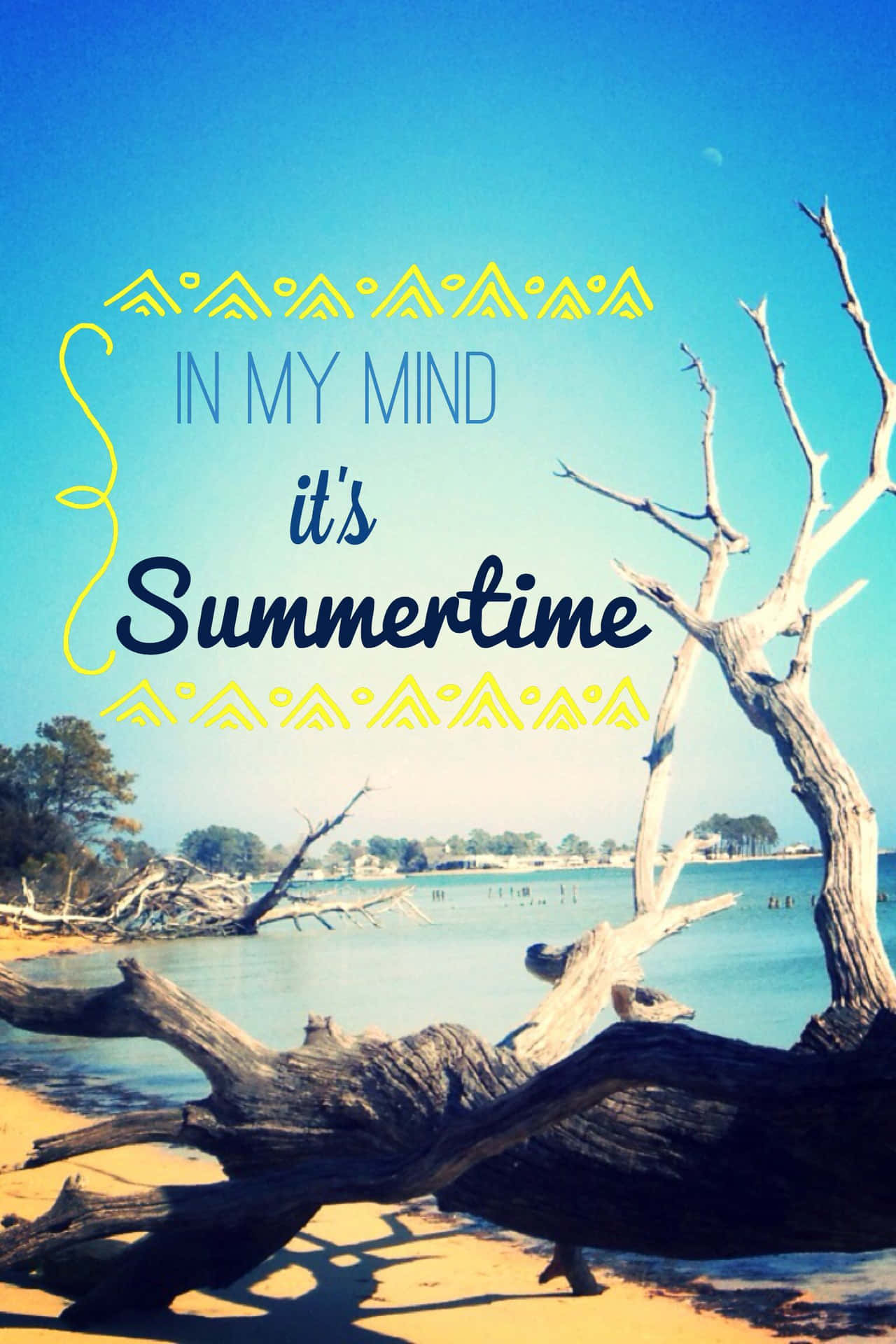 藍天下有浮木和文字「In My Mind it's Summertime」的海灘。