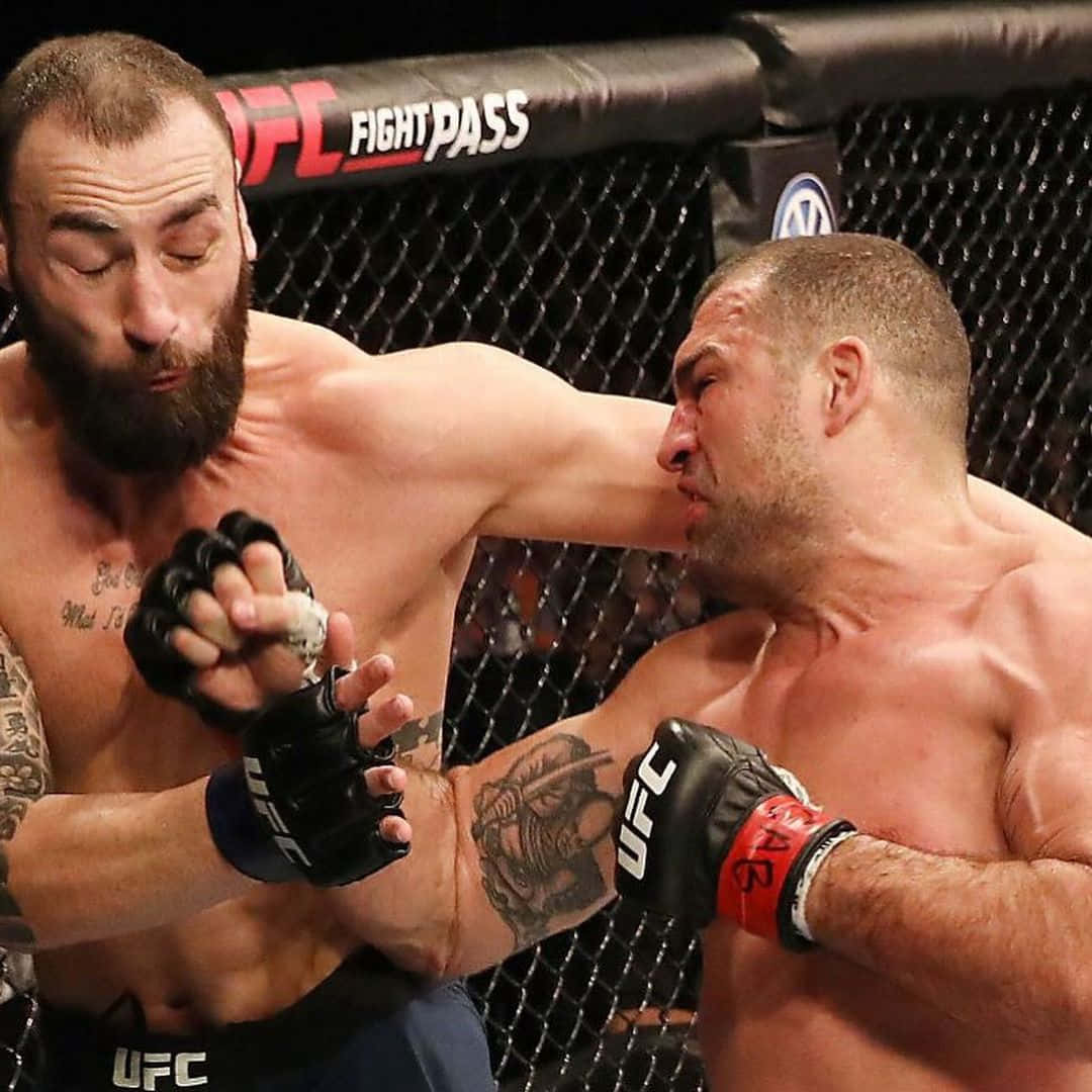 兩位MMA拳手在UFC八角鐵籠內互換拳擊。
