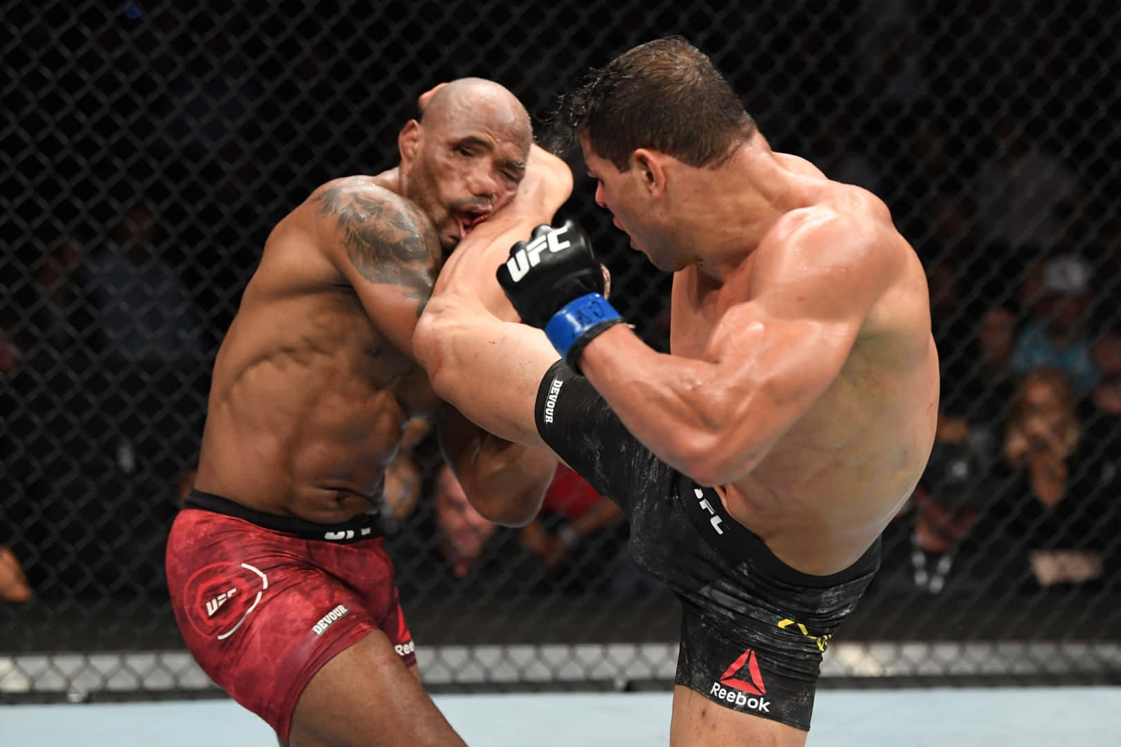 保羅·科斯塔對決約爾·羅梅羅 UFC 241 壁紙 — 兩名肌肉發達的MMA拳手在激烈的鐵籠賽中交鋒，汗水飛濺，拳頭緊鎖在戰鬥中。