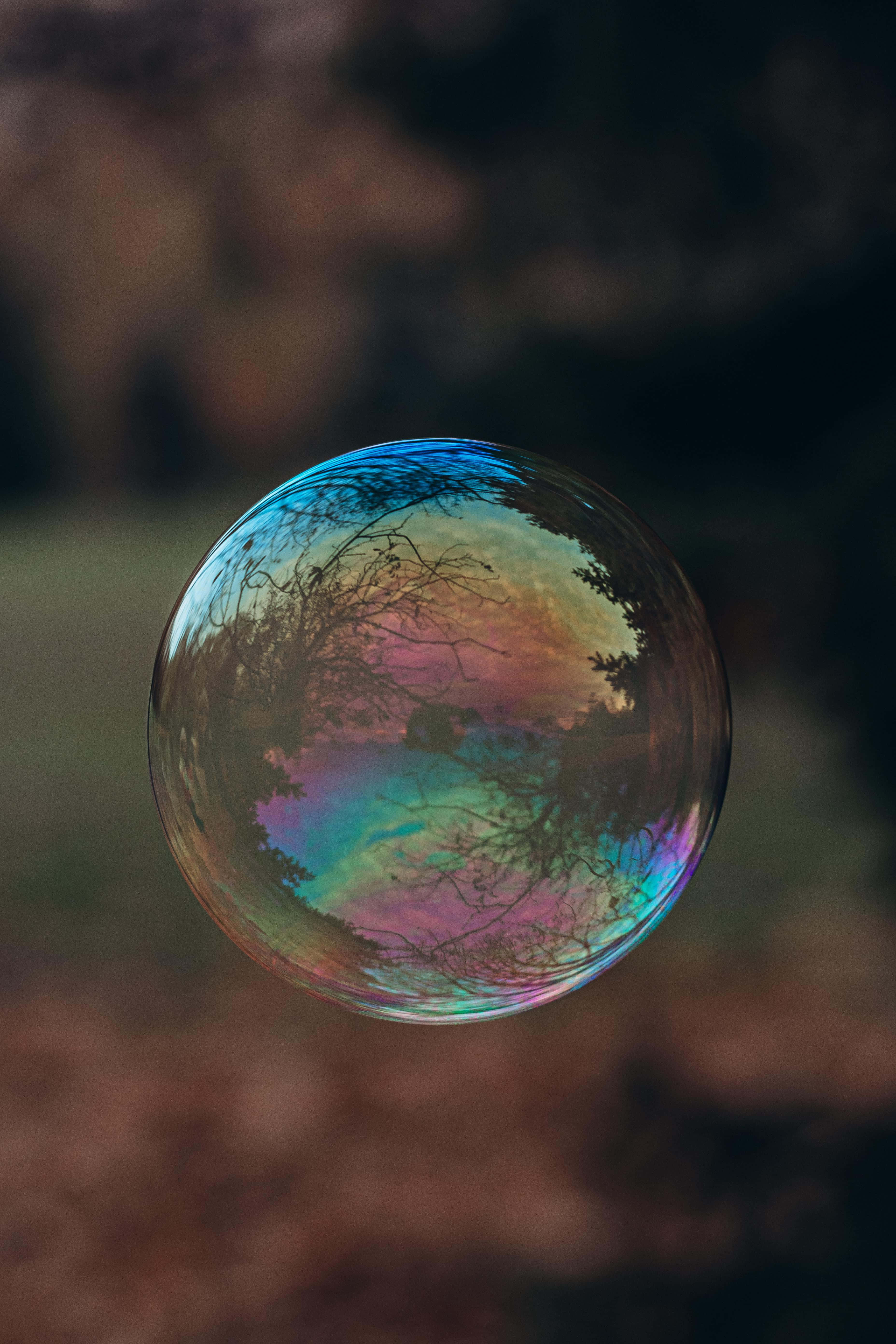 保護泡泡 壁紙 — 一個虹彩色的肥皂泡在空中漂浮，映照出色彩繽紛的天空和光禿禿的樹枝，背景是模糊的土色。