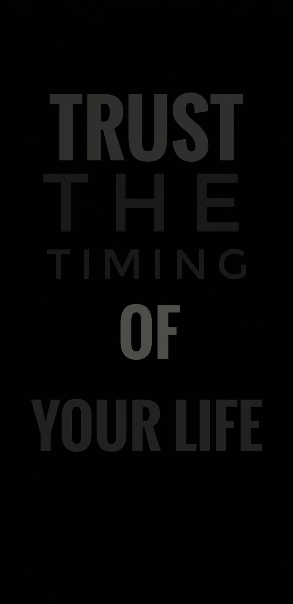 勵志名言 trust the timing of your life 以灰色文字顯示在黑色背景上
