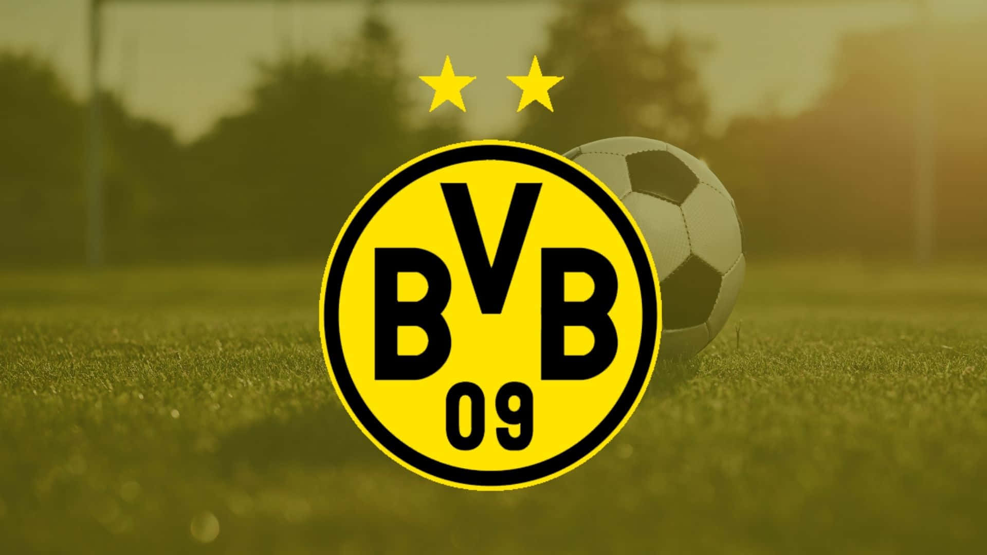 BVB 09 足球會標誌和足球在草地上，金色陽光下。