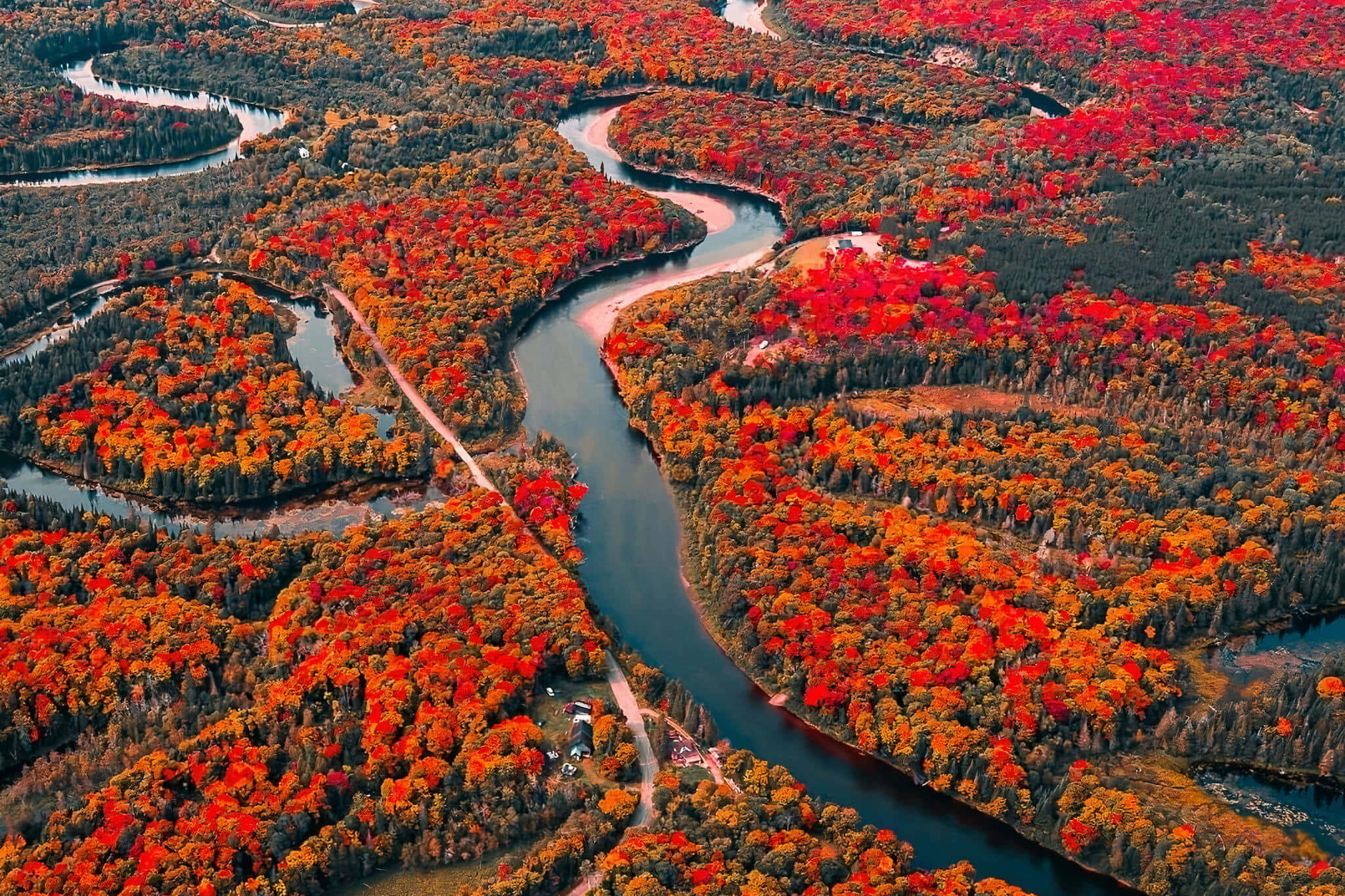 Fall Photography 桌布 壁紙 — 俯瞰一條蜿蜒的河流穿過一片充滿活力的秋日森林，森林中紅、橙、金色的樹葉如火般燃燒。