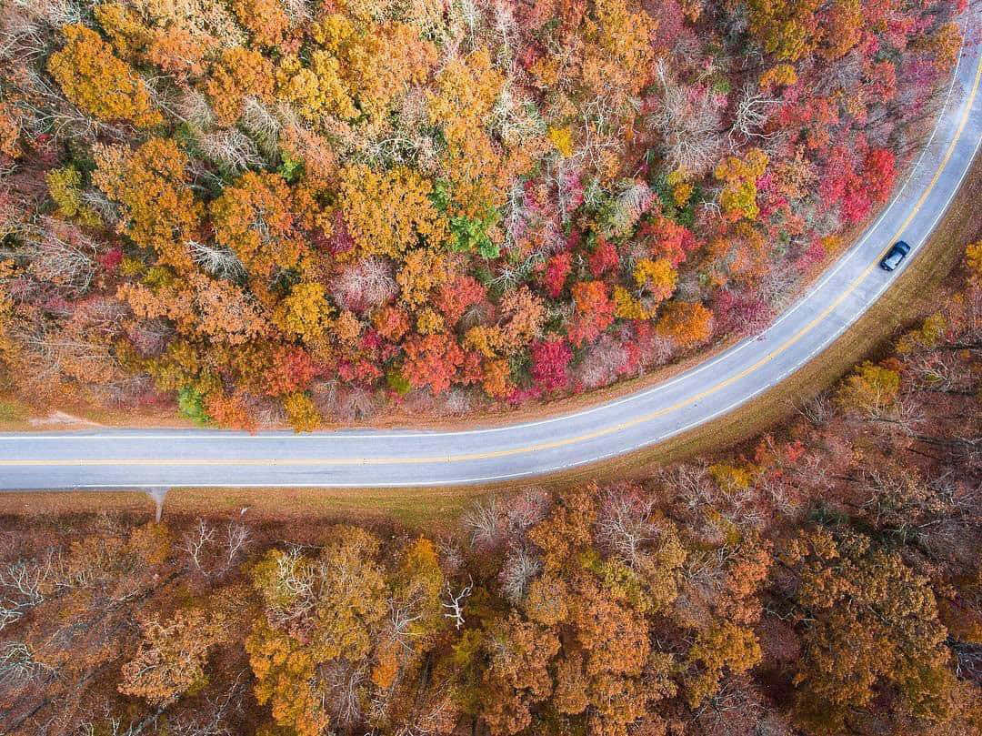 Fall Road 桌布 壁紙 — 俯瞰一條蜿蜒的道路穿過充滿活力的秋日森林，一輛孤獨的汽車沿路行駛。