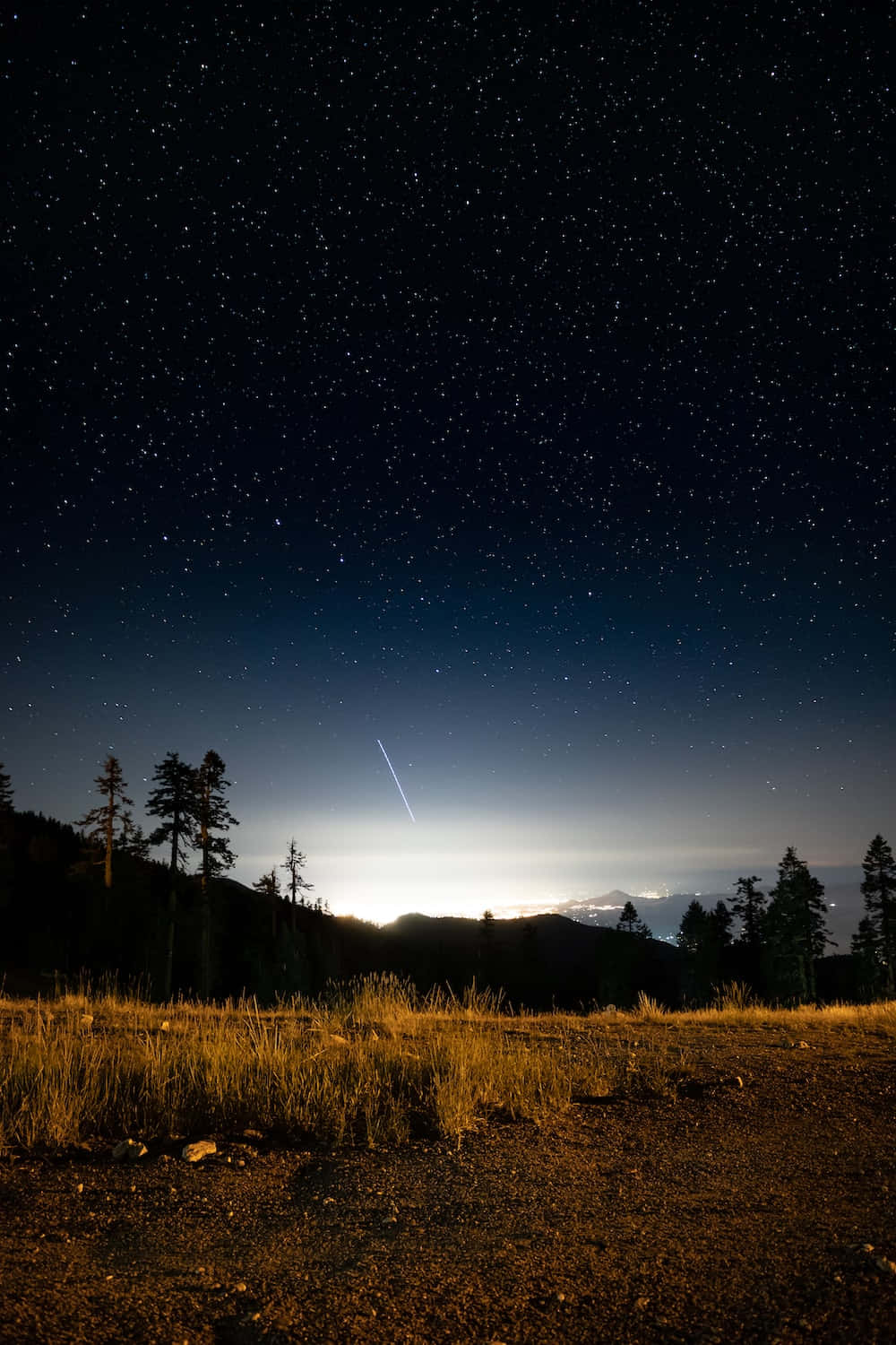 繁星點點的夜空，流星劃過松樹和遠處的城市燈光。