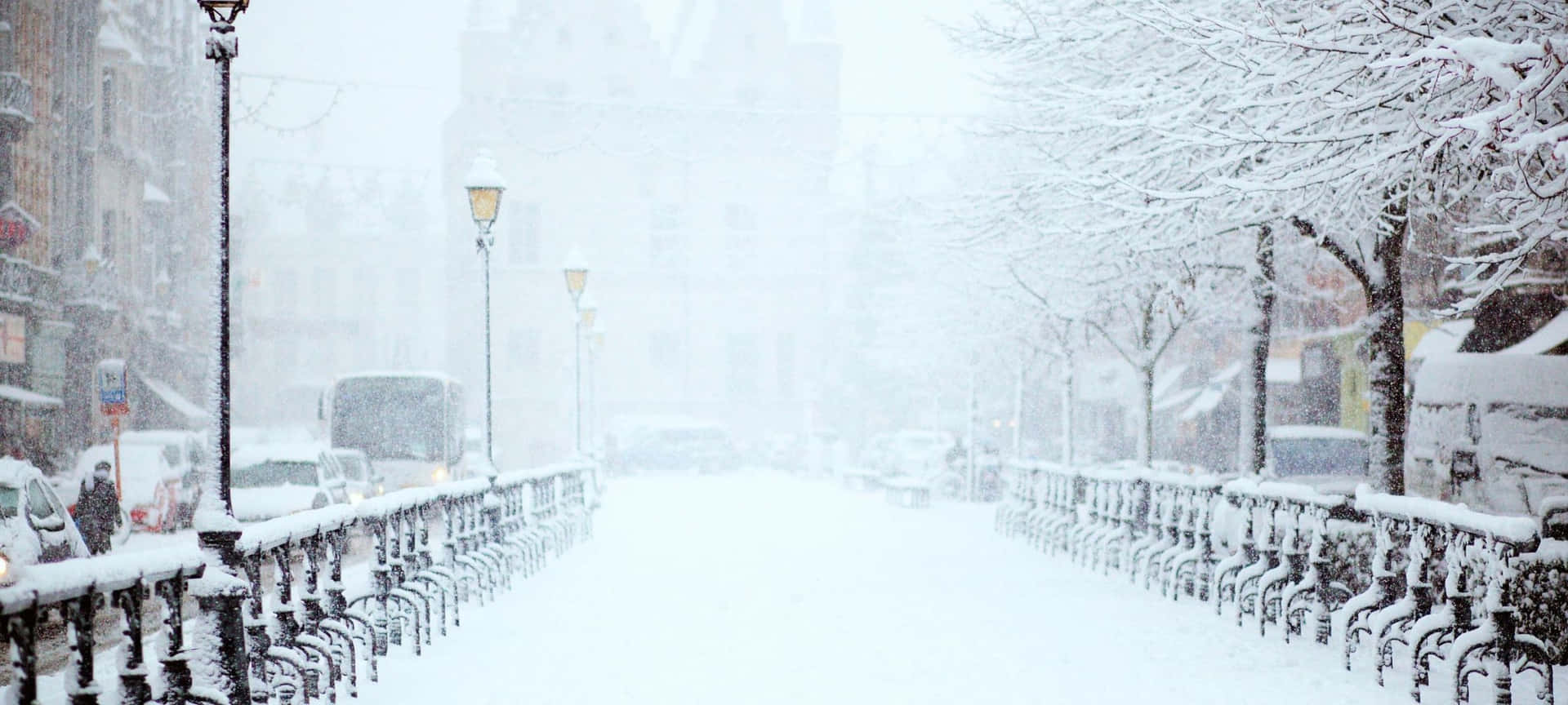 大雪中，一條積雪的城市街道，有樹木和欄杆。