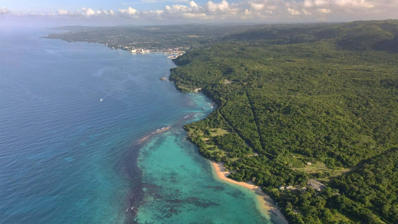 Jamaican Island 桌布 壁紙 — 俯瞰鬱鬱蔥蔥的綠色海岸線，碧綠的海水和沙灘沿著海岸蜿蜒。