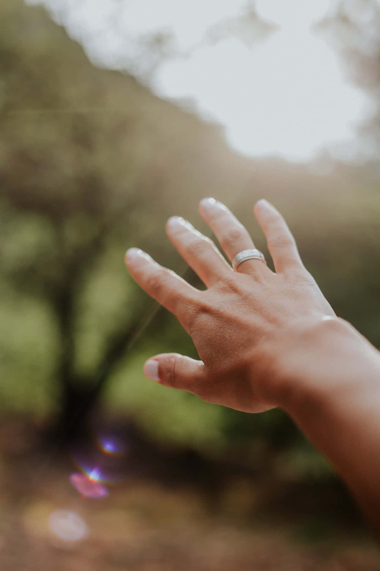 一隻戴著結婚戒指的手在森林中伸向陽光。