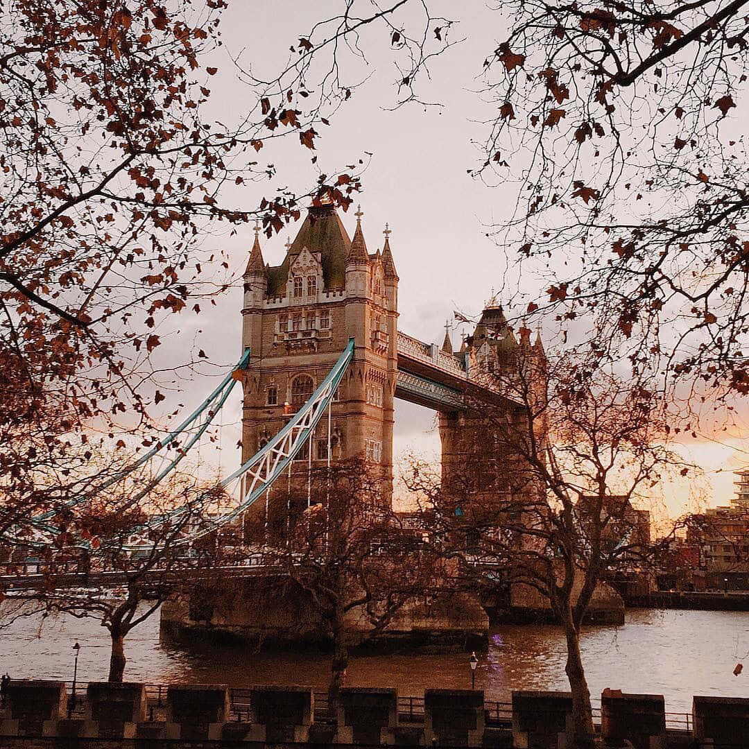 England 桌布 壁紙 — 倫敦塔橋在金色夕陽下，被秋樹環繞，雄偉地矗立在泰晤士河上。