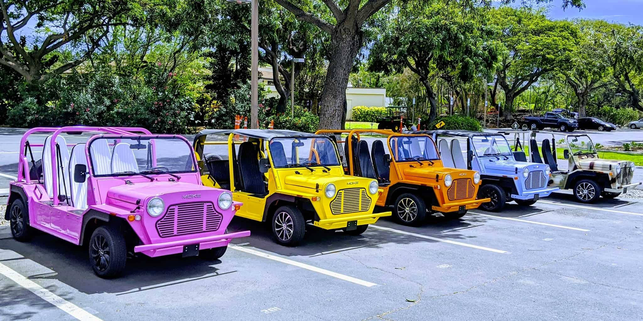 停車場中的多彩美學迷你車 壁紙 — 一排色彩鮮豔嘅迷你吉普車停泊喺陽光普照、綠樹成蔭嘅空地。