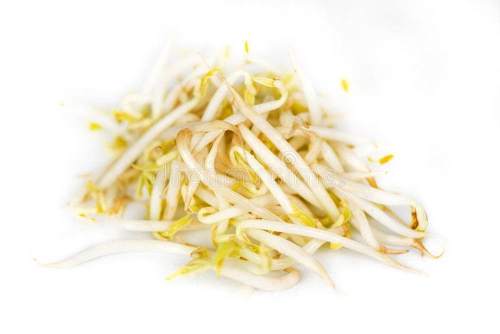 新鮮芽菜堆喺白色表面上。