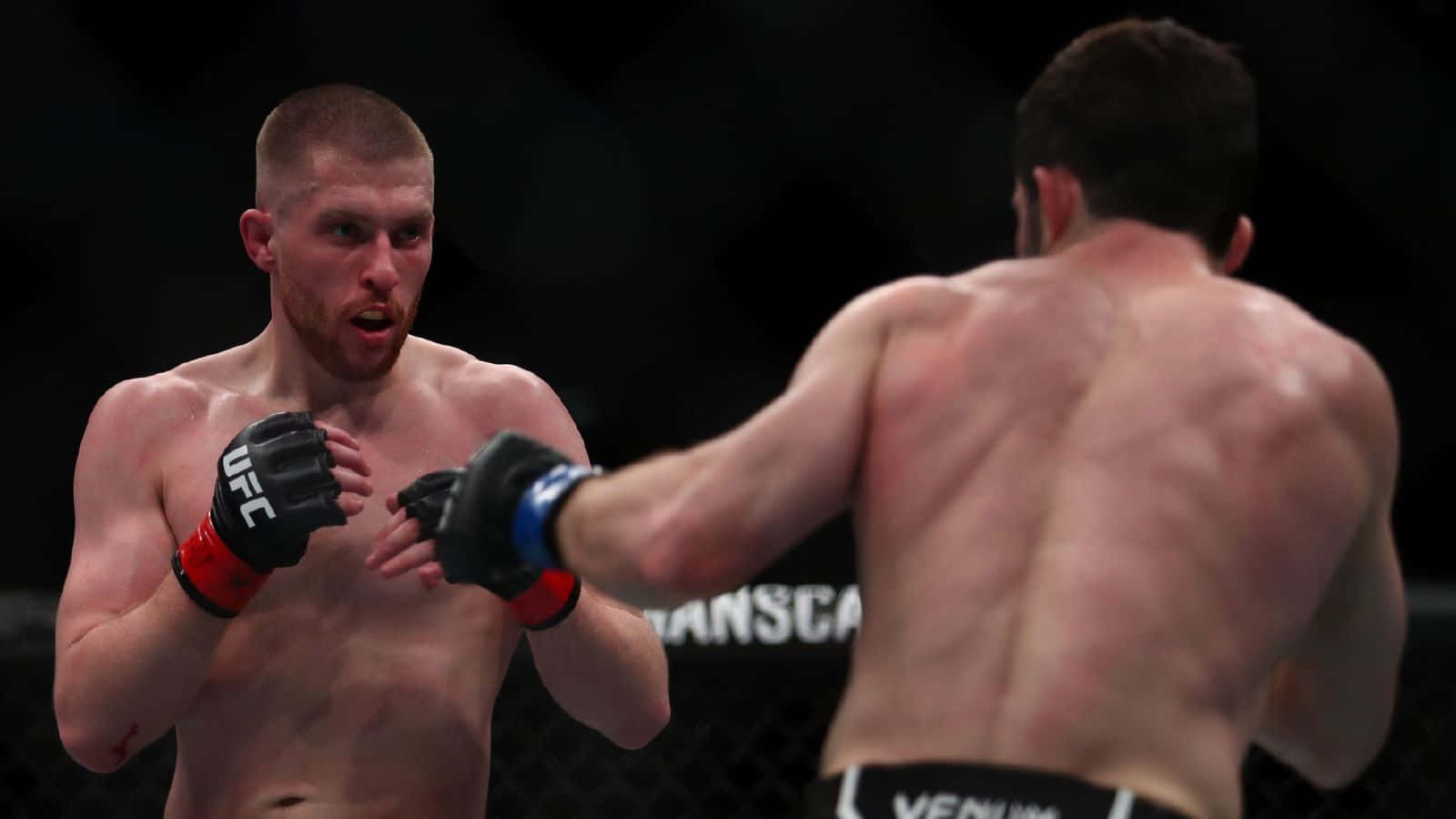 兩名男性MMA拳手在UFC八角籠內比賽中互相出拳。