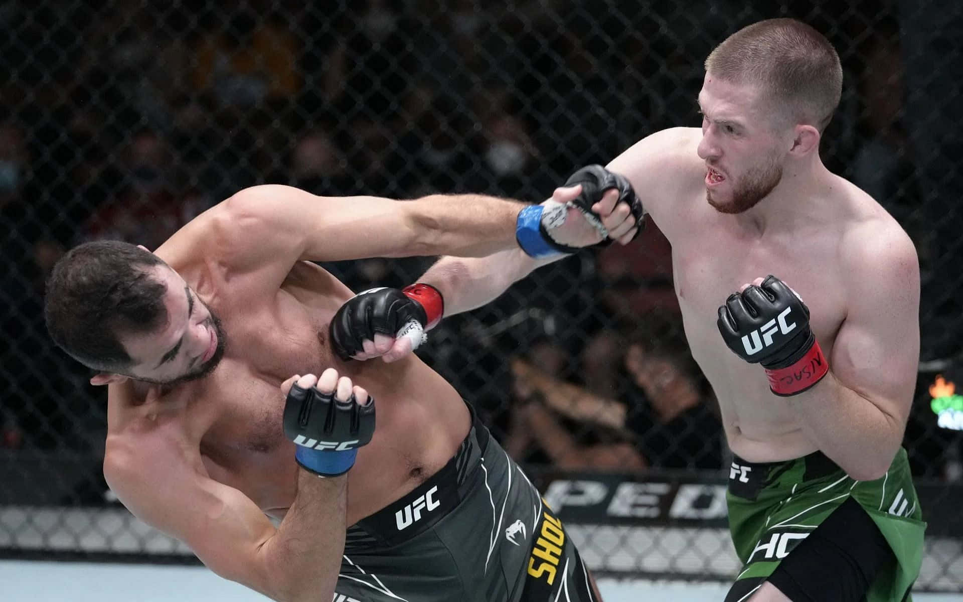 兩名戴著MMA手套的男性拳手在八角鐵籠內互相出拳。