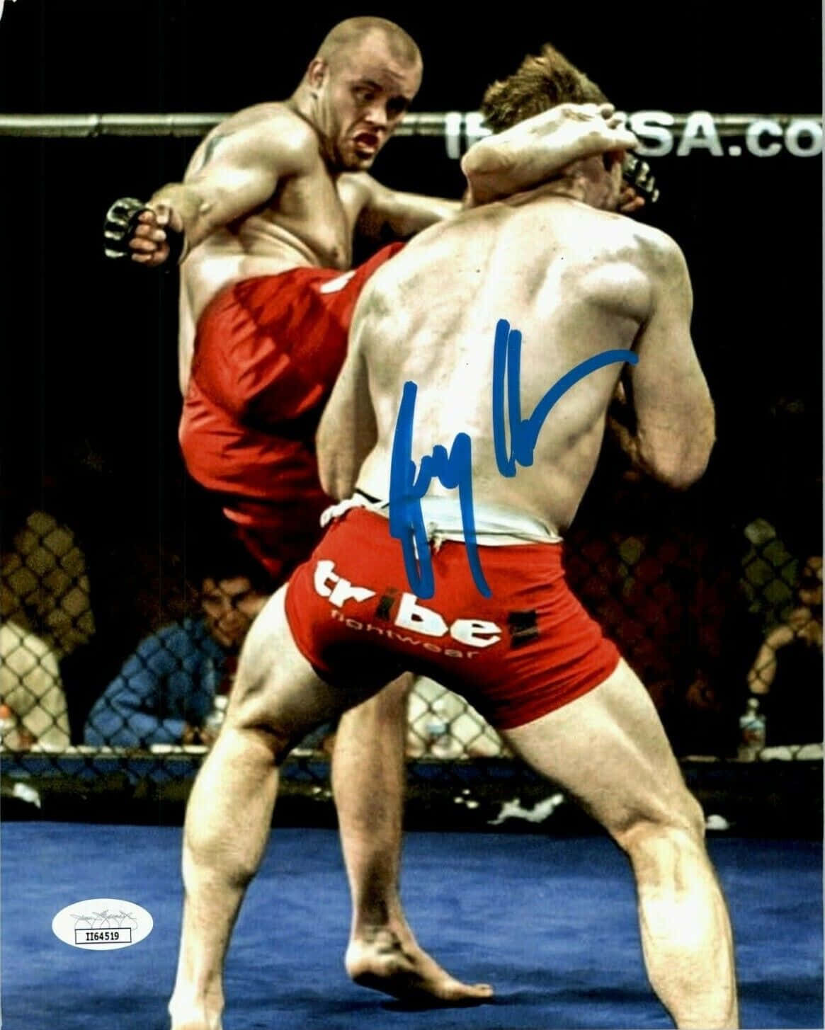 傑瑞米·霍恩MMA海報親筆簽名 壁紙 — 兩名肌肉發達的拳手在籠鬥中激烈糾纏，其中一人踢出強力一腳。