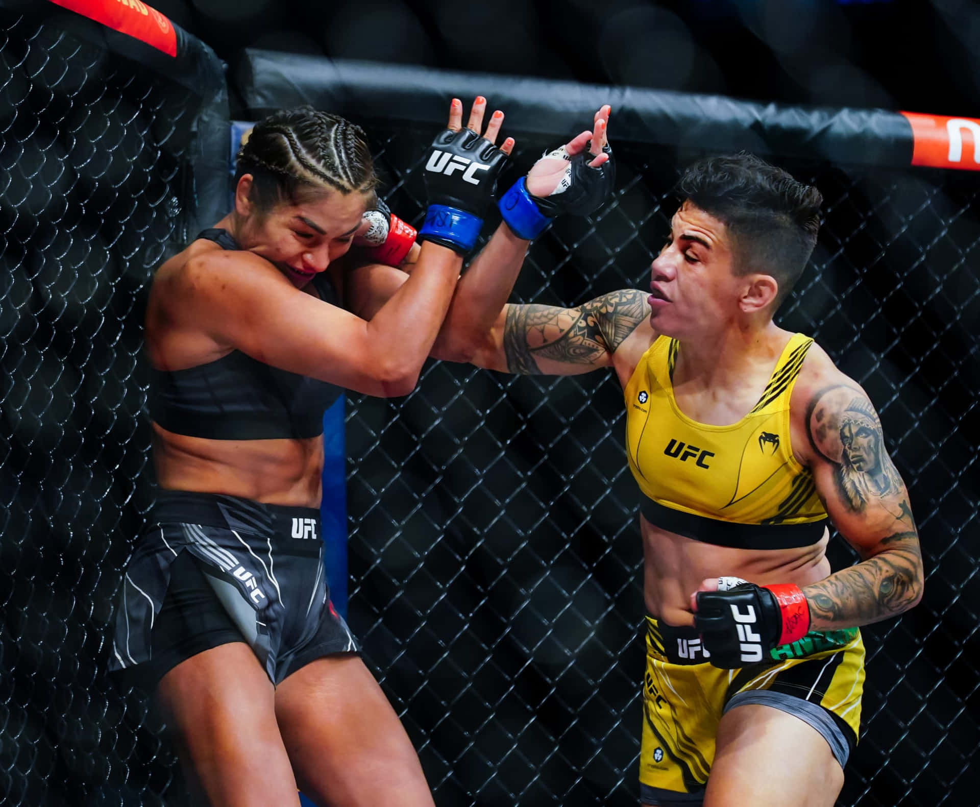 比賽期間籠中的兩名女性MMA拳手。